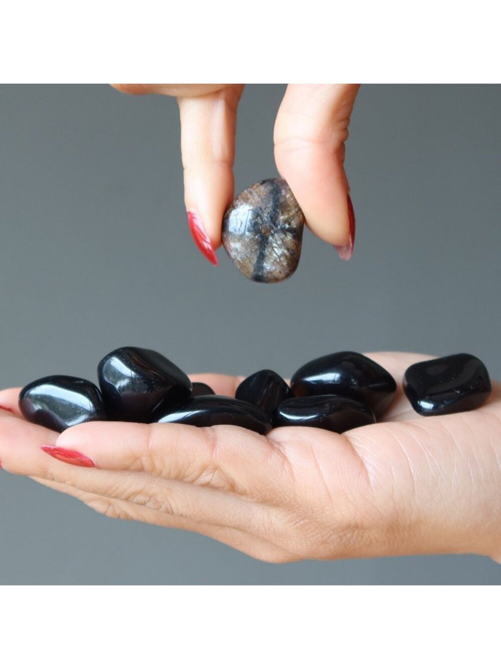 Tumbled Stone Set of 11 Root Chakra Black Obsidian Chiastolite Cross Crystal Lot